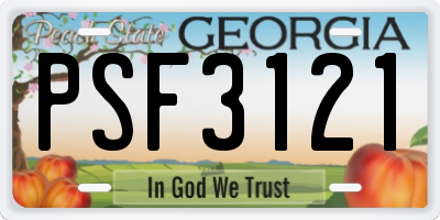 GA license plate PSF3121