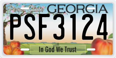 GA license plate PSF3124