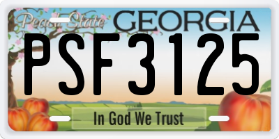 GA license plate PSF3125