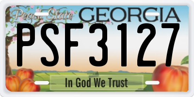 GA license plate PSF3127