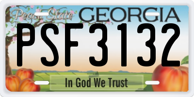 GA license plate PSF3132