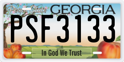 GA license plate PSF3133
