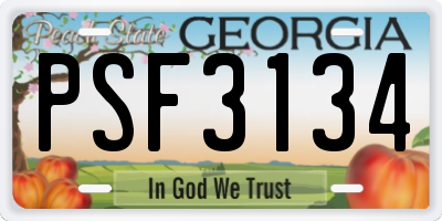 GA license plate PSF3134