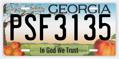 GA license plate PSF3135