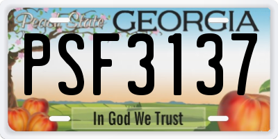 GA license plate PSF3137