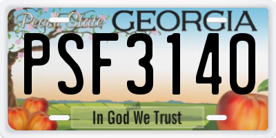 GA license plate PSF3140