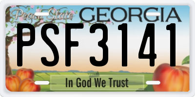 GA license plate PSF3141