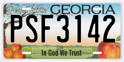 GA license plate PSF3142