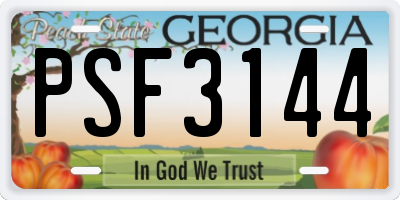 GA license plate PSF3144