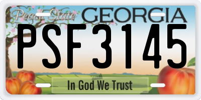 GA license plate PSF3145