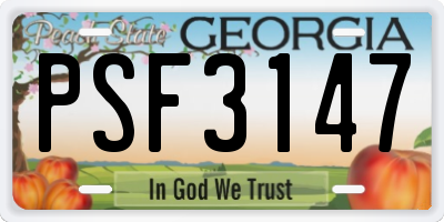 GA license plate PSF3147