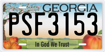 GA license plate PSF3153