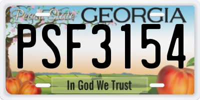 GA license plate PSF3154