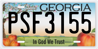 GA license plate PSF3155
