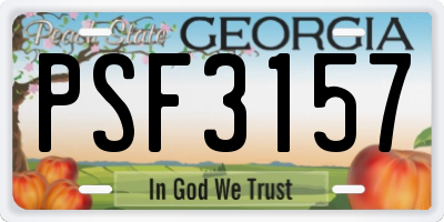 GA license plate PSF3157