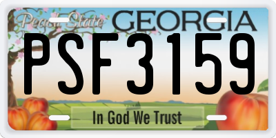 GA license plate PSF3159