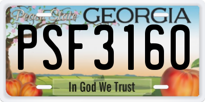 GA license plate PSF3160