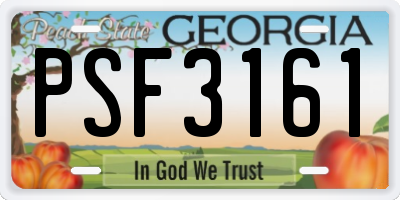 GA license plate PSF3161