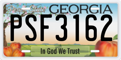 GA license plate PSF3162