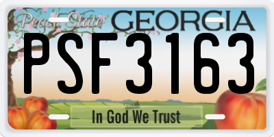 GA license plate PSF3163