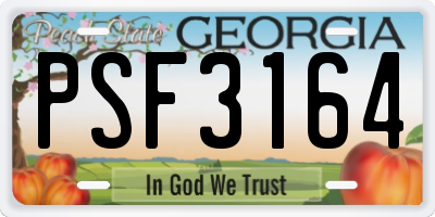 GA license plate PSF3164