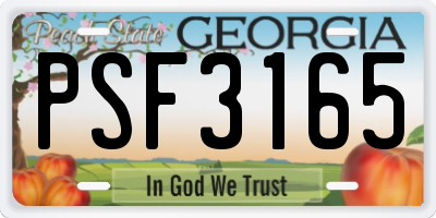 GA license plate PSF3165
