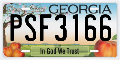 GA license plate PSF3166