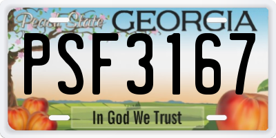 GA license plate PSF3167