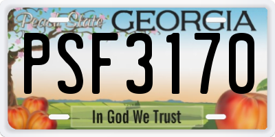 GA license plate PSF3170