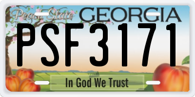GA license plate PSF3171