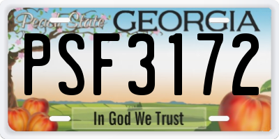 GA license plate PSF3172