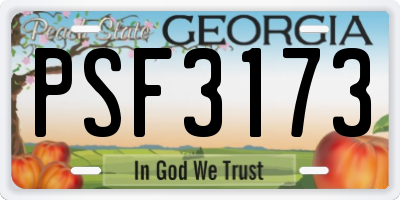 GA license plate PSF3173
