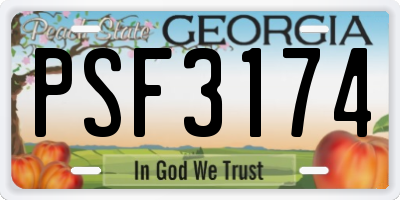 GA license plate PSF3174