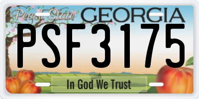GA license plate PSF3175