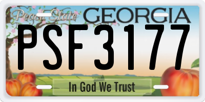 GA license plate PSF3177