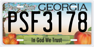 GA license plate PSF3178