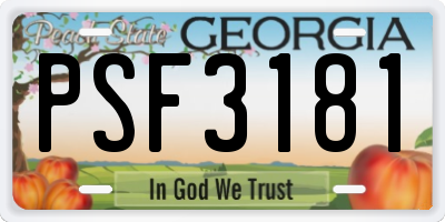 GA license plate PSF3181