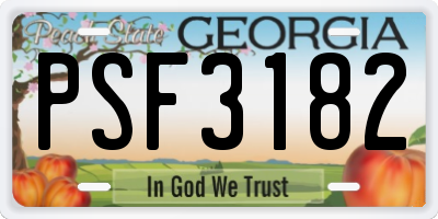 GA license plate PSF3182