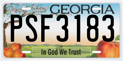 GA license plate PSF3183