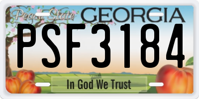 GA license plate PSF3184