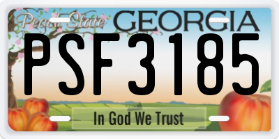 GA license plate PSF3185