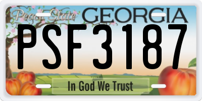 GA license plate PSF3187