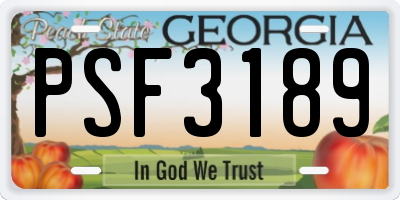 GA license plate PSF3189