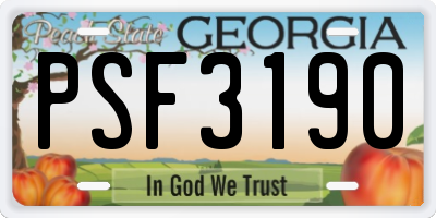 GA license plate PSF3190