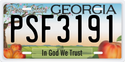 GA license plate PSF3191