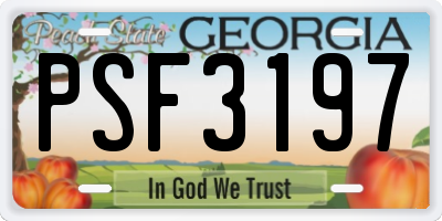 GA license plate PSF3197