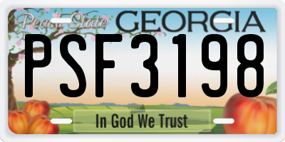 GA license plate PSF3198