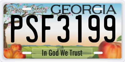 GA license plate PSF3199