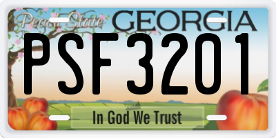 GA license plate PSF3201