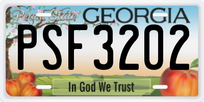 GA license plate PSF3202